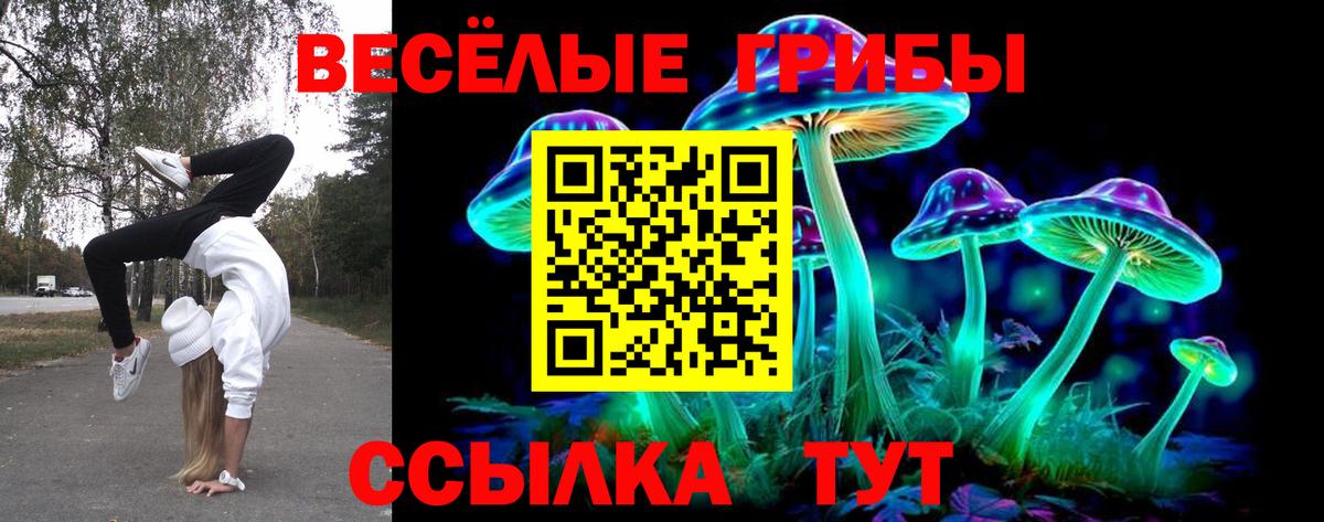 Родники  Псилоцибиновые грибы Cubensis  Вход с VPN 